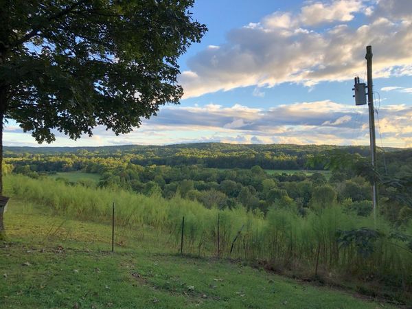 199 Dixon Ln, Waynesboro, TN 38485