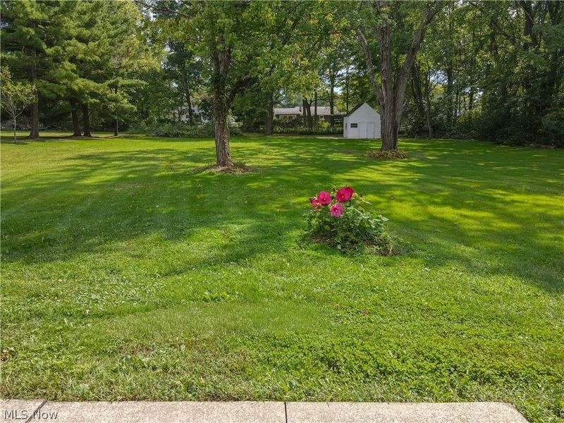 72 Meadow Lane, Peninsula, OH 44264 Photo 33
