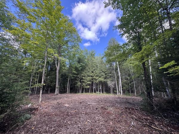W5700 PINEWOOD DRIVE, Niagara, WI 54151