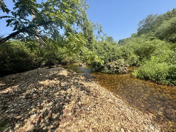 7581 Highway 438 W, Linden, TN 37096