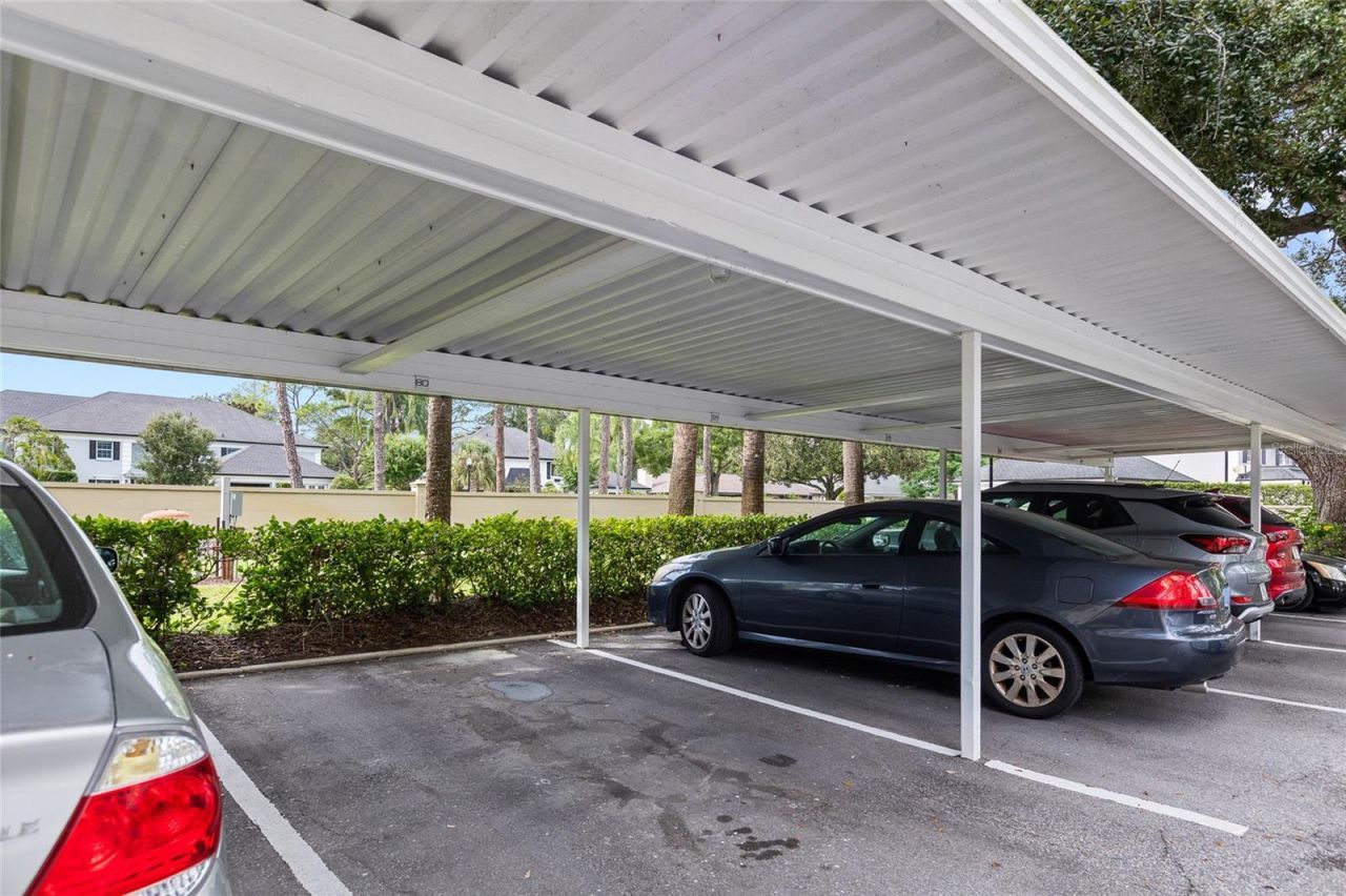 13626 Greenfield Drive, Unit 109, Tampa, FL 33618 Photo