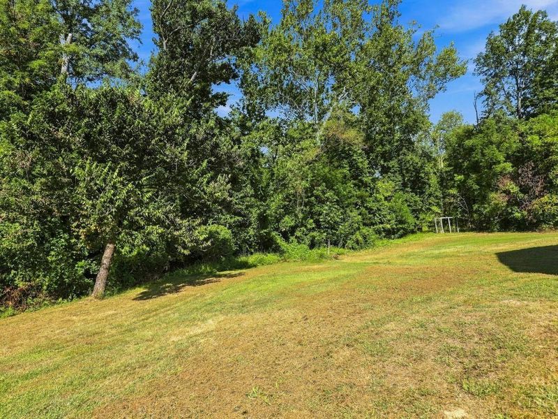 11809 Cloverlick Drive, Clark Township, OH 45106 Photo 65
