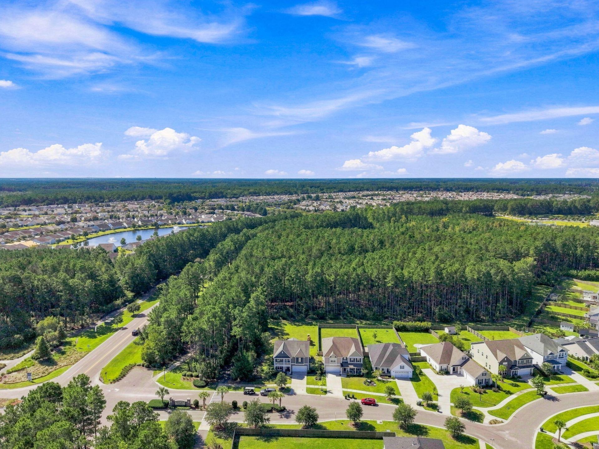 101 Orpington Trail Photo 47