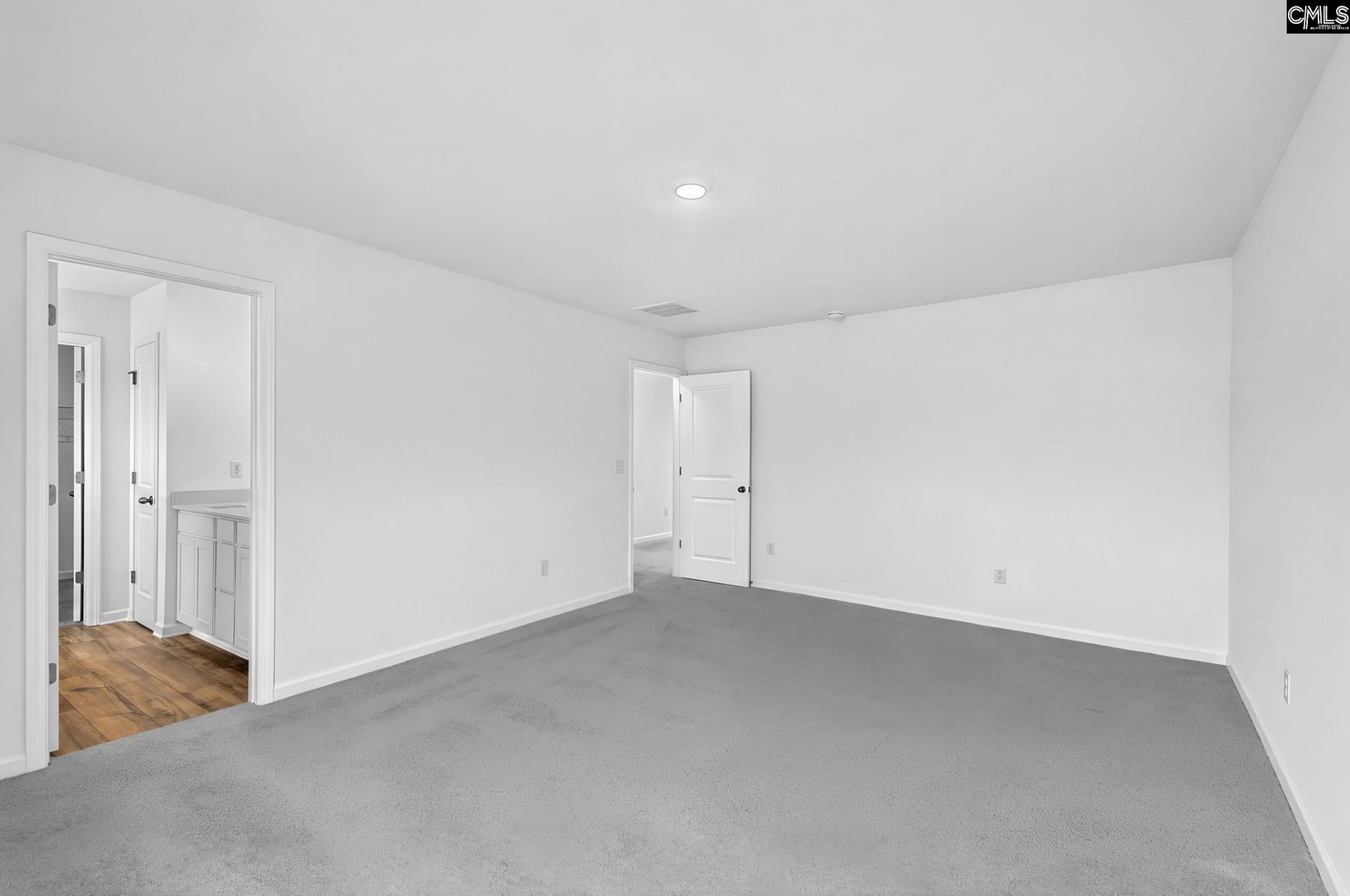 370 Sunny Falls Drive  Photo 19