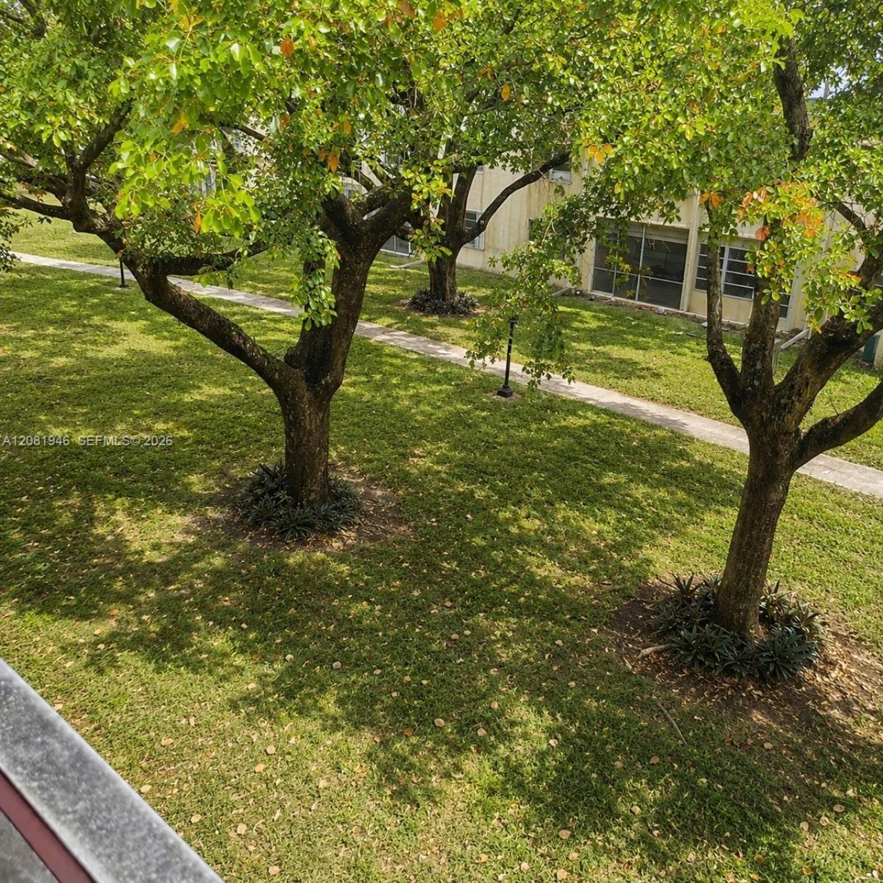 301 Cambridge Rd, Unit 306, Hollywood, FL 33024 Photo