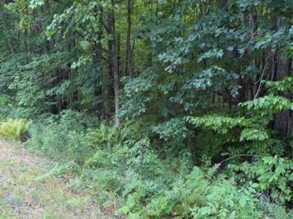 00 S County Road G, Boyd, WI 54726