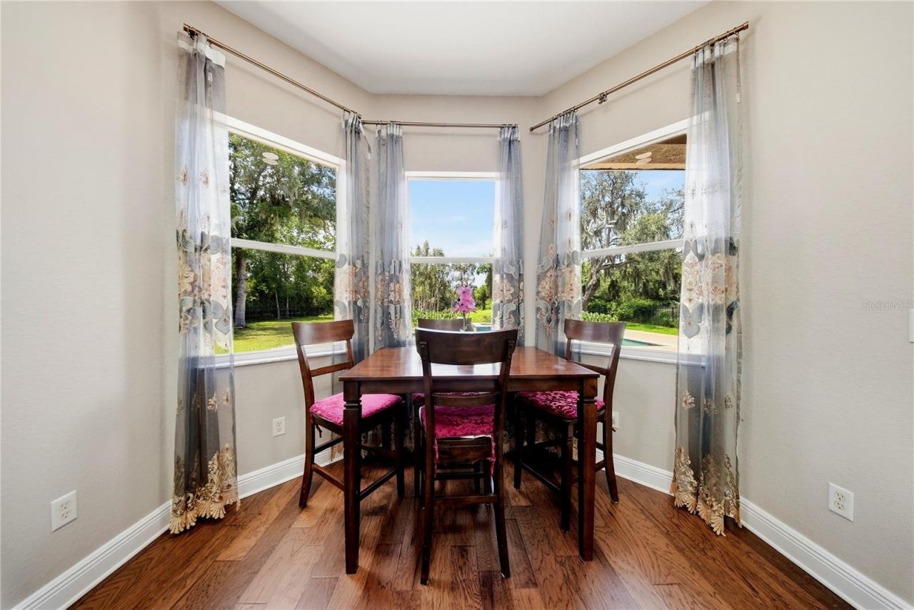 9244 Rhea Drive, Odessa, FL 33556 Photo