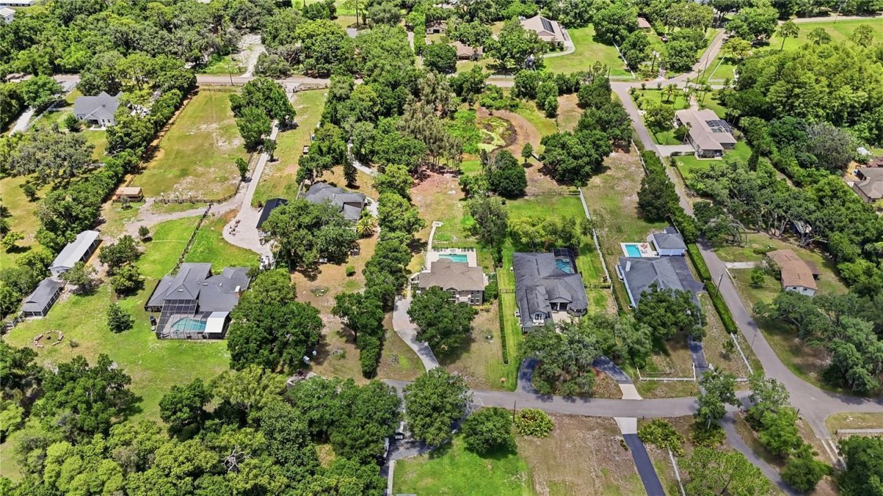 9244 Rhea Drive, Odessa, FL 33556 Photo