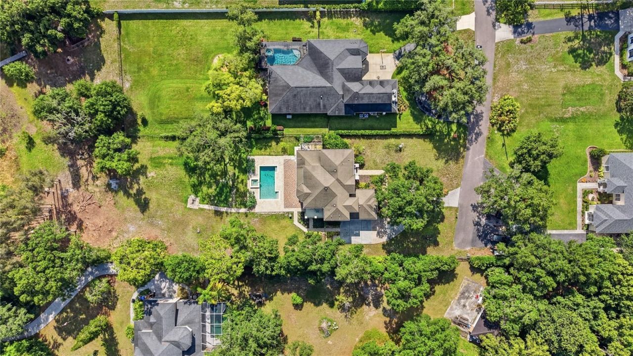 9244 Rhea Drive, Odessa, FL 33556 Photo