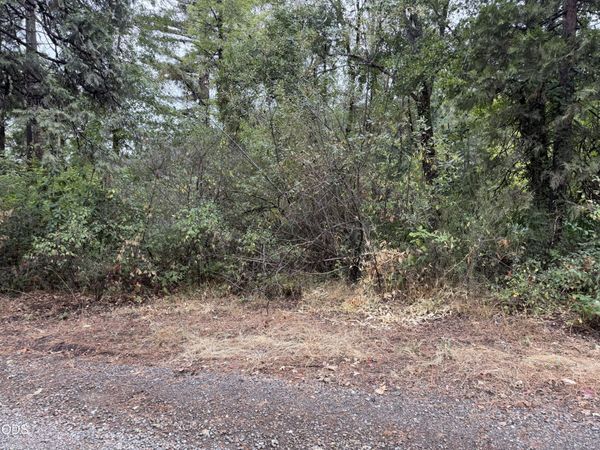 0 Elk Creek Road, Trail, OR 97541