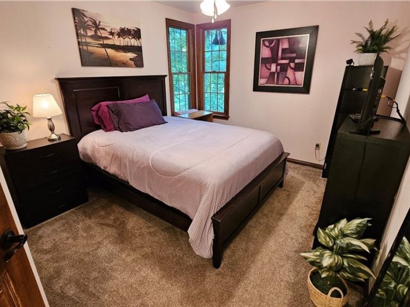 700 Stillwater Drive, Deerfield, OH 44411 Photo 19