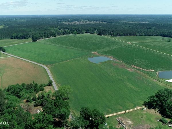 Ten Mile Church Rd , Perkinston, MS 39573