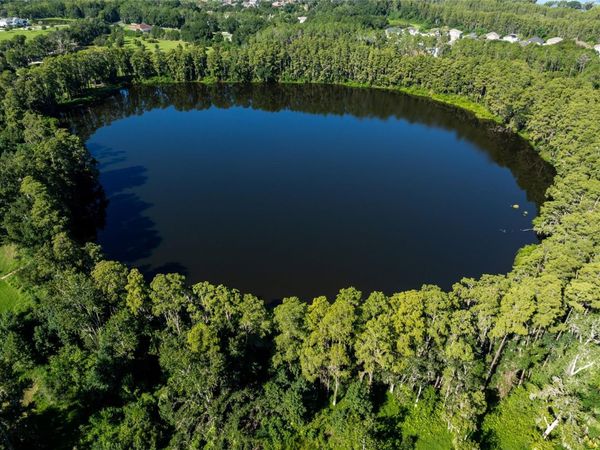 TBD COLLIER PARKWAY , LAND O LAKES, FL 34639