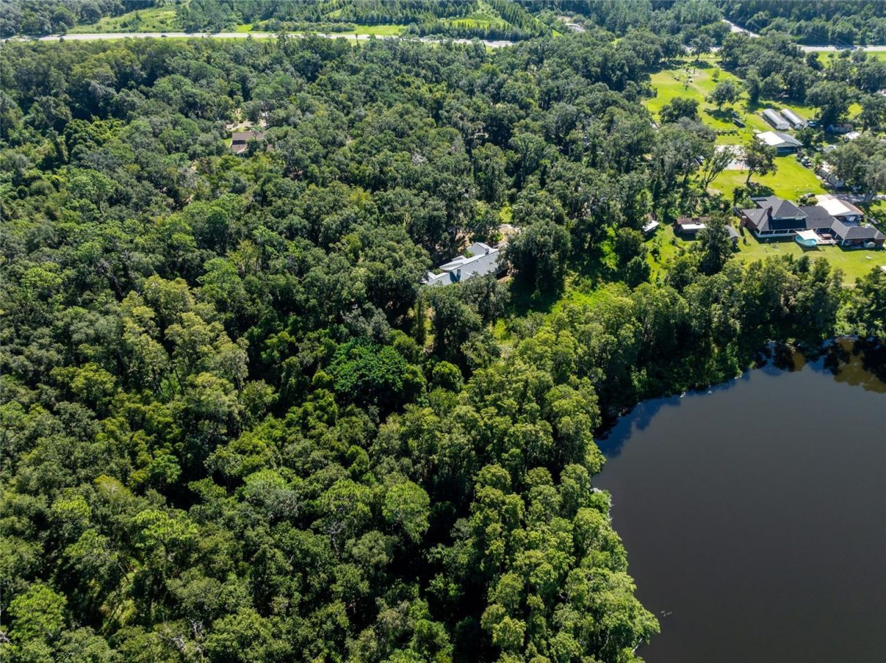 Tbd Collier Parkway, Land O Lakes, FL 34639 Photo