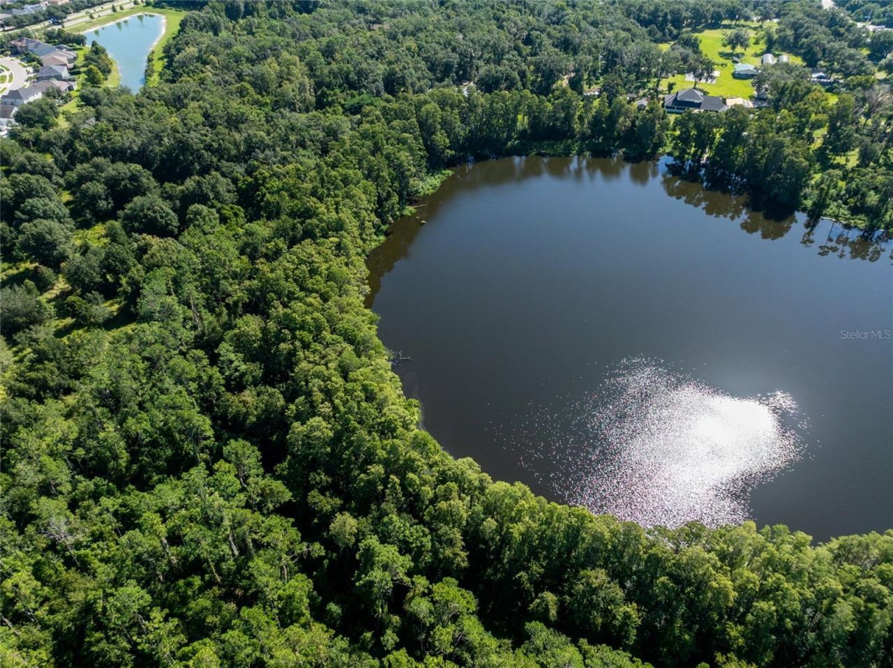 Tbd Collier Parkway, Land O Lakes, FL 34639 Photo