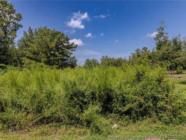 546 Pearsall Road , Red Springs, NC 28377