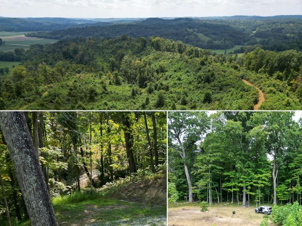 9957 County Road 5 , Unit (Tract 1 a, Pedro, OH 45659