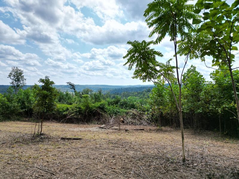 9957 County Road 5, Unit (Tract 1 a, Pedro, OH 45659 Photo 10