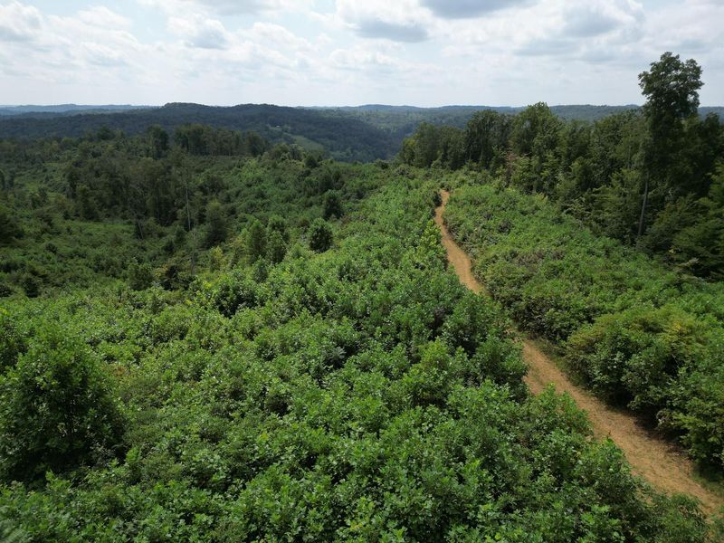 9957 County Road 5, Unit (Tract 1 a, Pedro, OH 45659 Photo 13