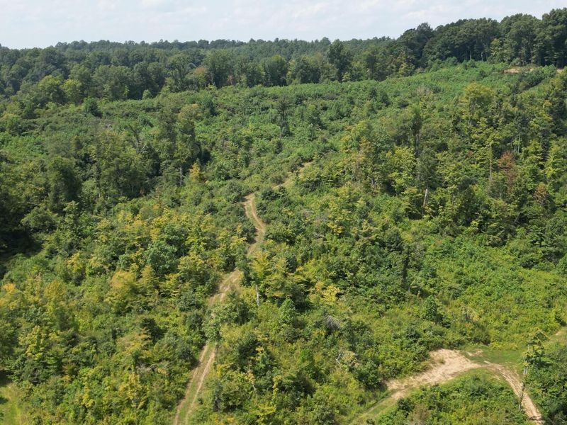 9957 County Road 5, Unit (Tract 1 a, Pedro, OH 45659 Photo 16