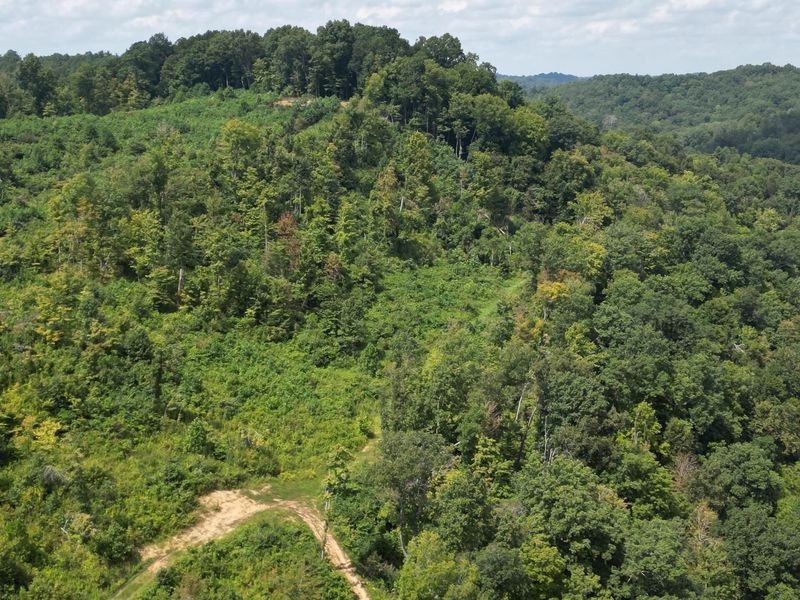 9957 County Road 5, Unit (Tract 1 a, Pedro, OH 45659 Photo 17