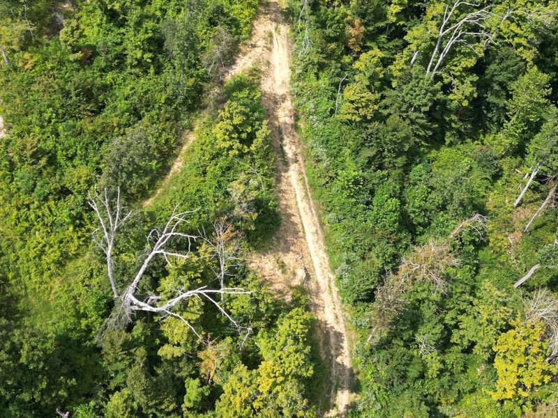 9957 County Road 5, Unit (Tract 1 a, Pedro, OH 45659 Photo 19