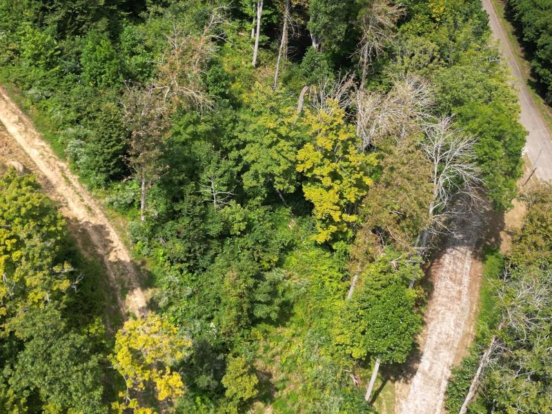 9957 County Road 5, Unit (Tract 1 a, Pedro, OH 45659 Photo 5