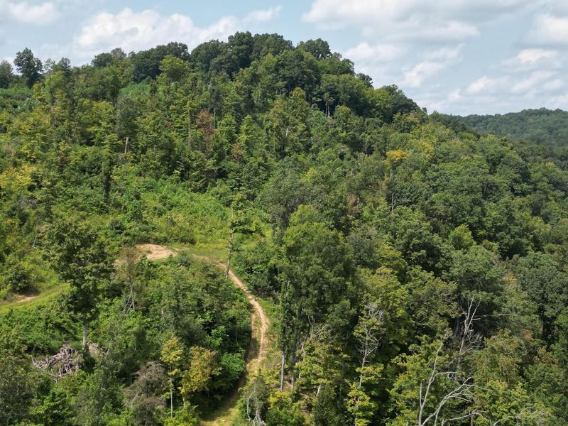 9957 County Road 5, Unit (Tract 1 a, Pedro, OH 45659 Photo 6