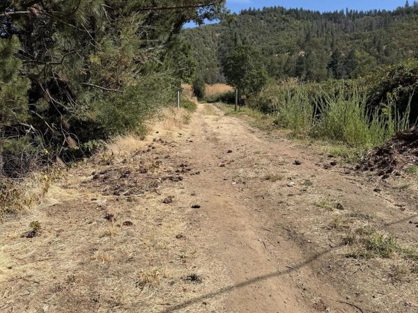 Tolman Cr Road, Ashland, OR 97520