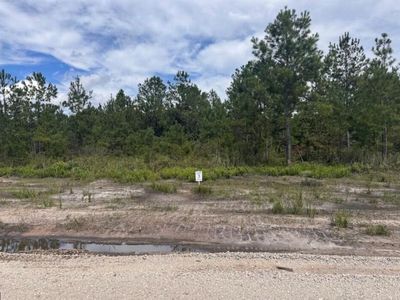 Lot 3 Walker Road, Ridgeville, SC 29472