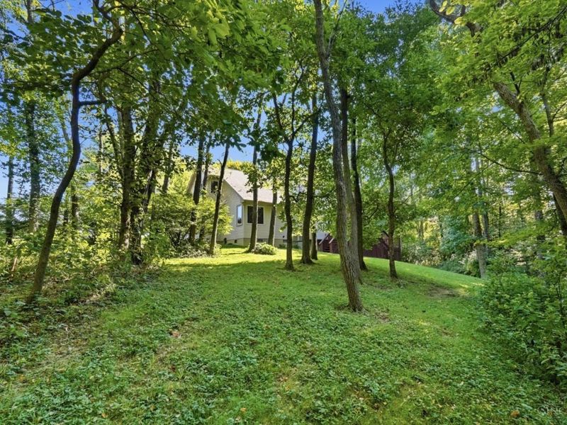 4113 St Rt 73, Union Township, OH 45177 Photo 47