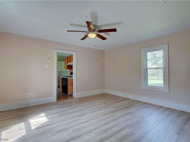 43 Main Street, Leetonia, OH 44431 Photo 8