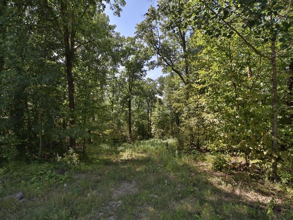 49601 Thunderbird Drive , Staples, MN 56479