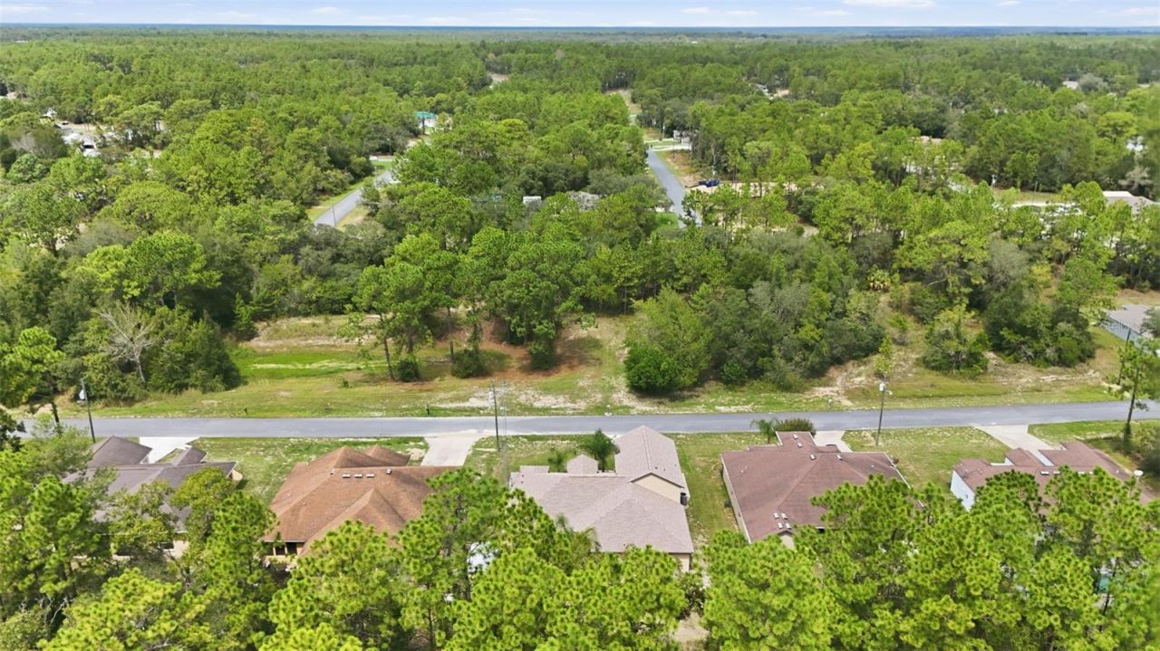 9269 N Saponaria Drive , Citrus Springs, FL 34433 Photo