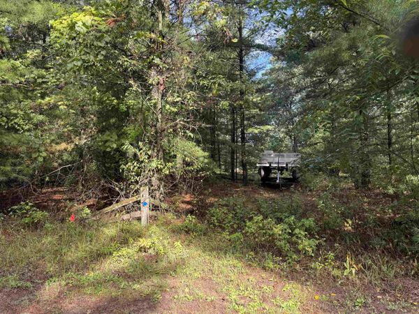 1.47 AC S Eagle Court, Grand Marsh, WI 53936