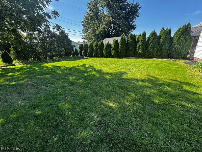 1708 Roselawn Road, Mayfield Heights, OH 44124 Photo 22