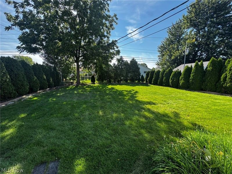 1708 Roselawn Road, Mayfield Heights, OH 44124 Photo 3