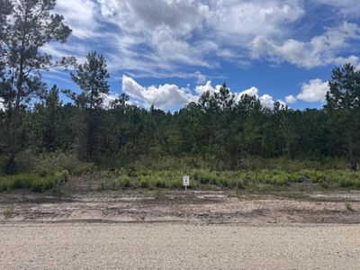 Lot 4 Walker Road, Ridgeville, SC 29472