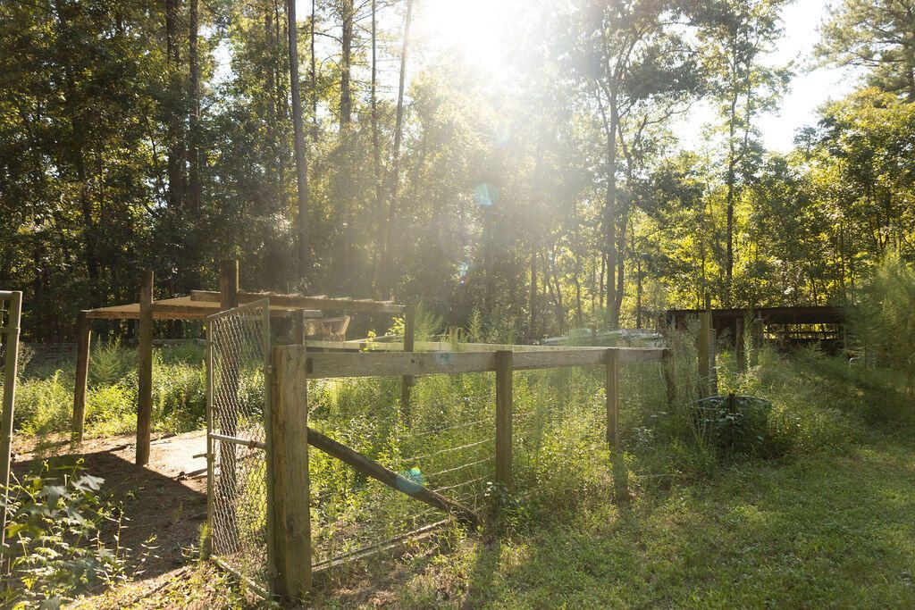 69 Nuthatch Lane Photo 31