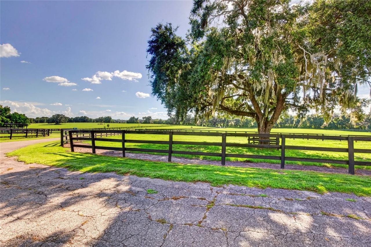 15939 NW 162nd Terrace, Williston, FL 32696 Photo