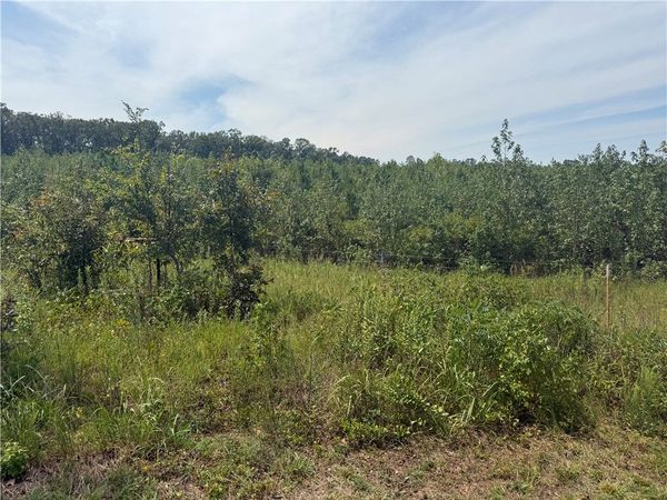 000 Williams Ridge Drive , Dover, AR 72837