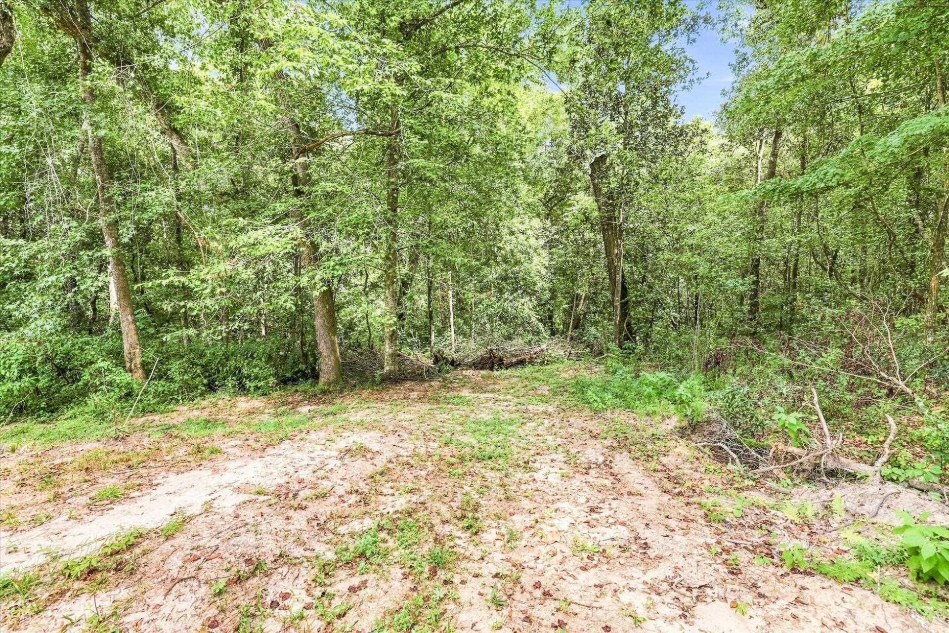 355 Monroe Creek Drive , Midway, FL 32343 Photo