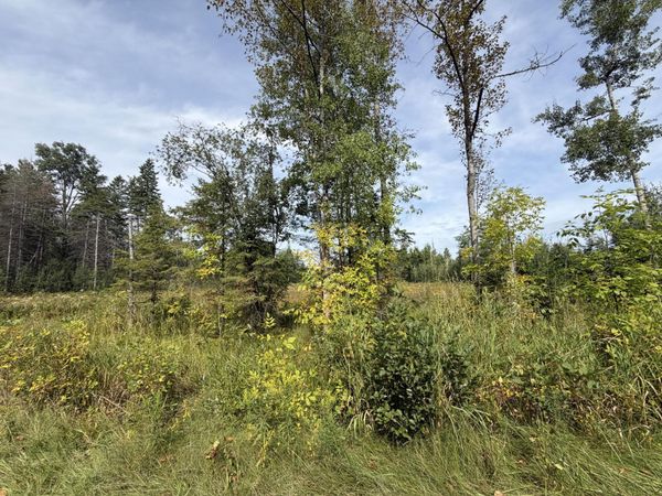 368 Beaver Shores Drive, Lachine, MI 49753