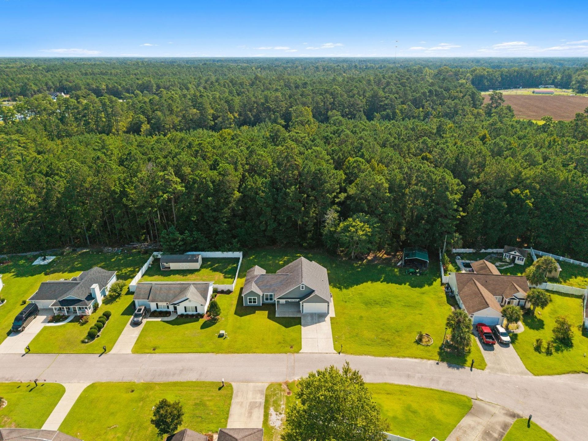 141 Lions Paw Ct. Photo 37