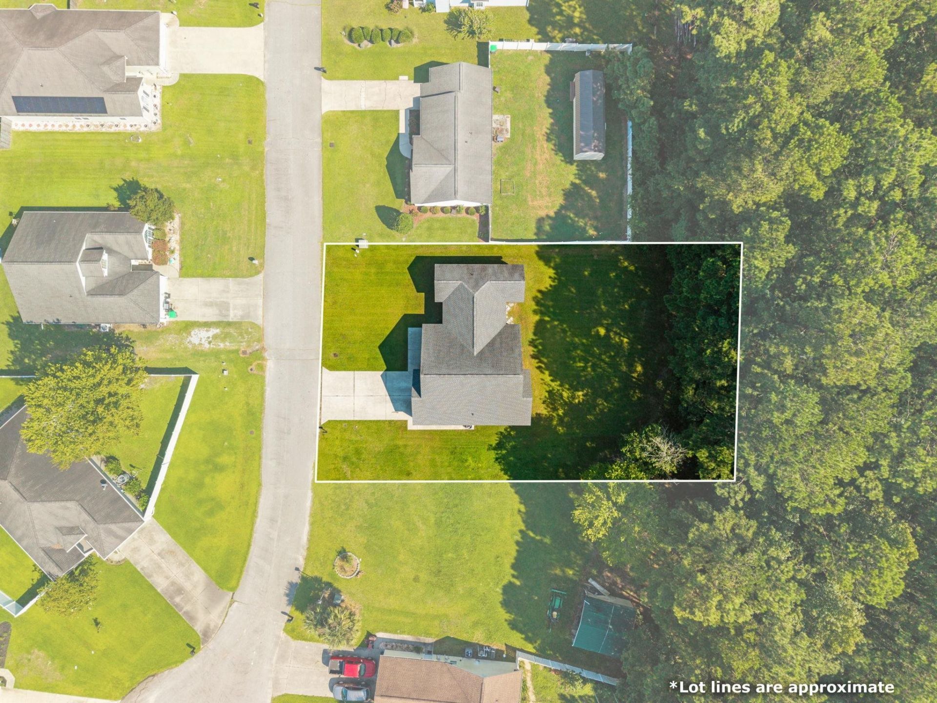 141 Lions Paw Ct. Photo 38