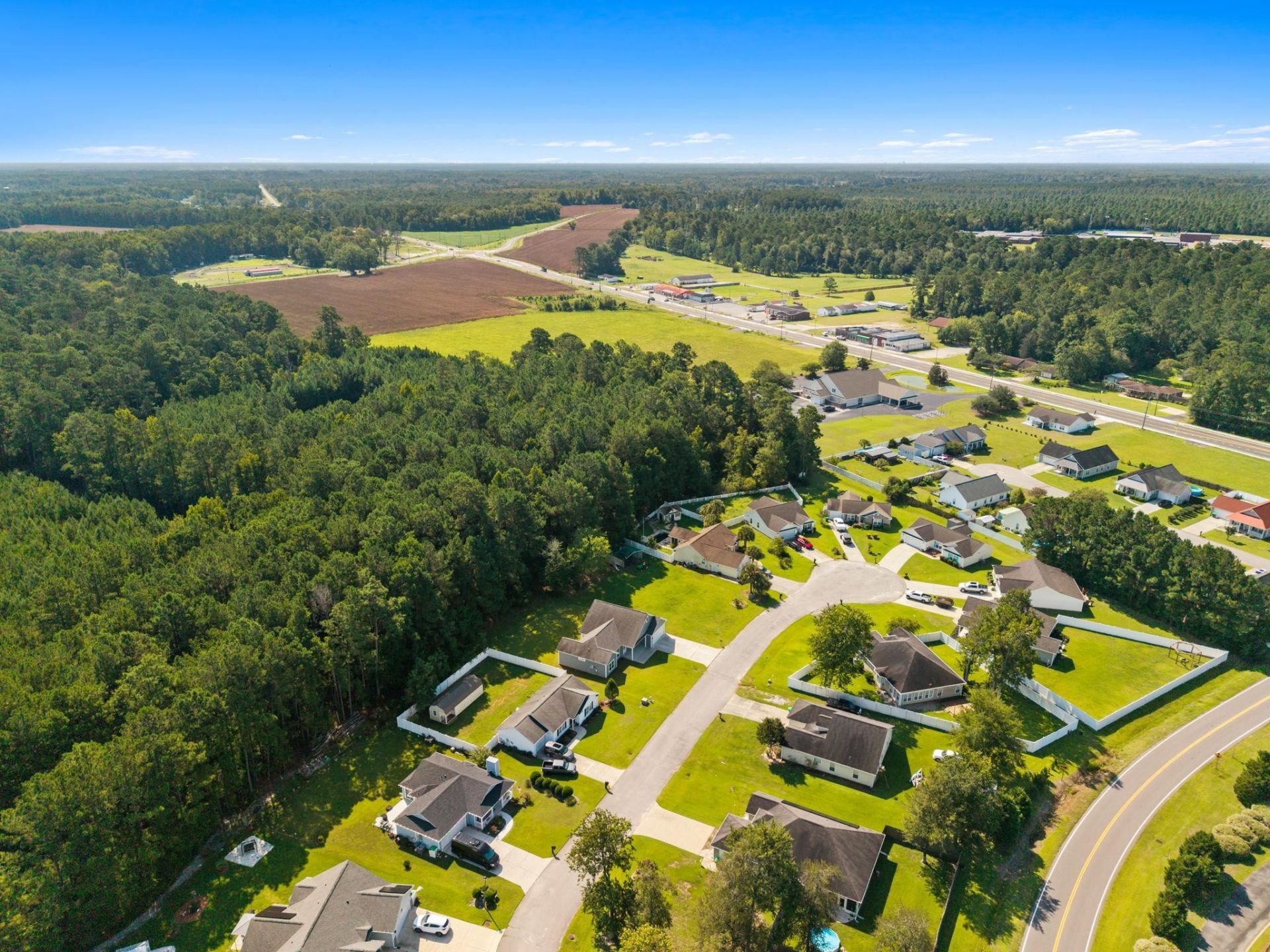 141 Lions Paw Ct. Photo 39