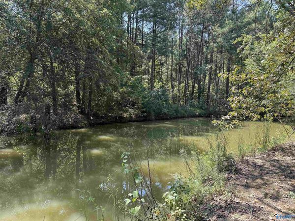 LOT 9 County Road 450, Unit 9, Centre, AL 35960
