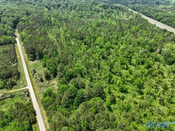 Lot 9 Mill Creek Road, Falkville, AL 35622