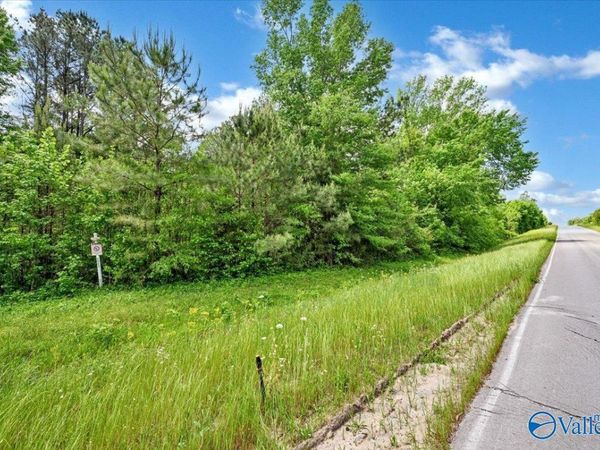 Lot 1 East Lacon Road, Falkville, AL 35622