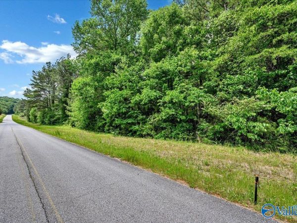 Lot 3 Mill Creek Road, Falkville, AL 35622